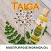 TAIGA Moringa Oil - முருங்கை விதை எண்ணெய் Multipurpose Cold Pressed Moringa Oil/Pure Drumstick Seed Oil For Cooking/Hair Growth and Skin Care