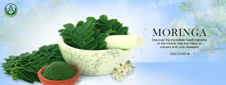 moringa products