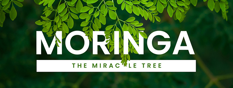 Moringa products